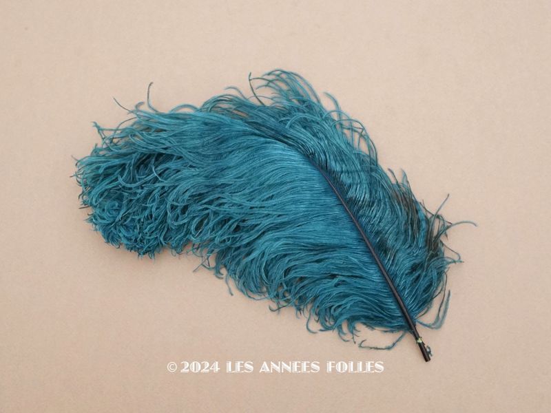 画像1: 1900年頃 アンティーク フェザー 羽飾り ブルーグリーン (1)