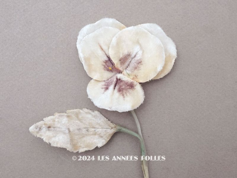 画像1: 1900年頃 アンティーク パンジーの布花 ホワイトベージュ (1)
