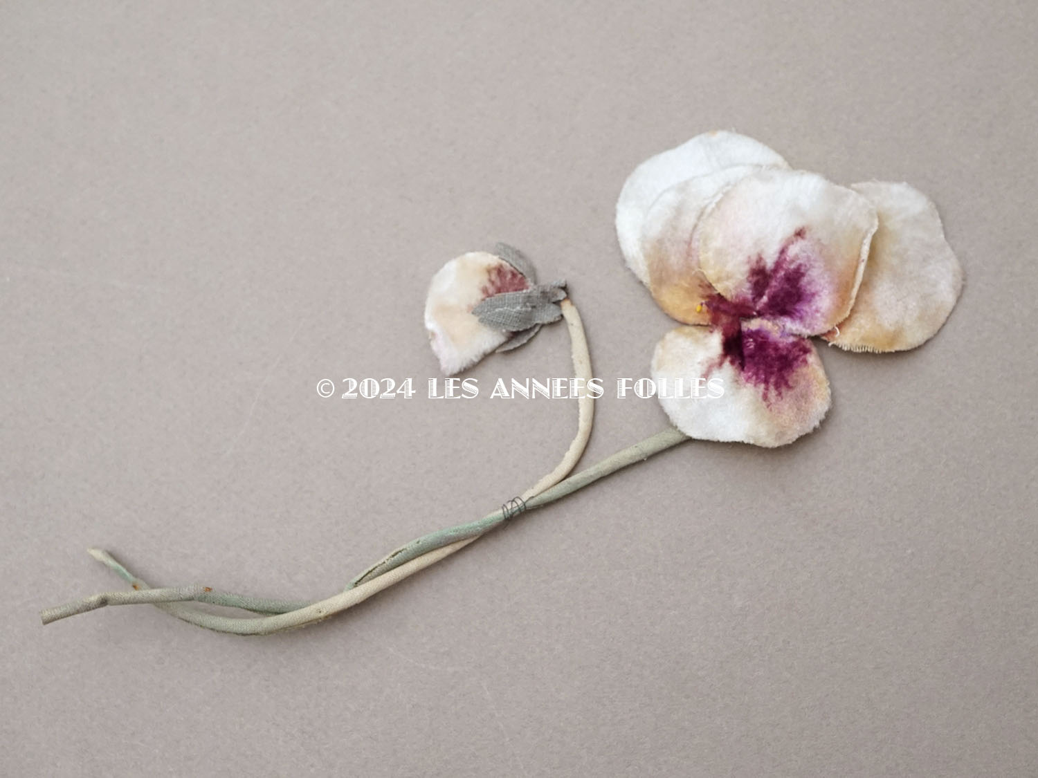 画像2: 1900年頃 アンティーク パンジーの布花 ホワイトベージュ＆深紫 (2)