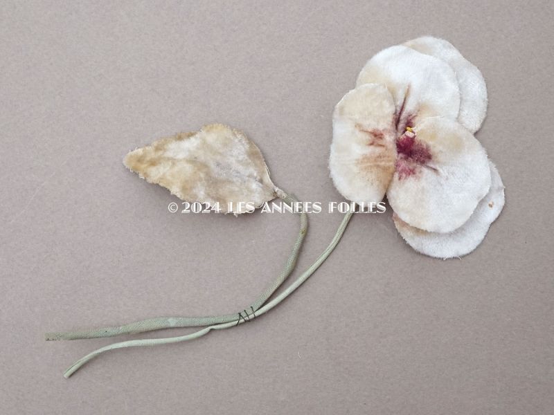 画像3: 1900年頃 アンティーク パンジーの布花 ホワイトベージュ (3)