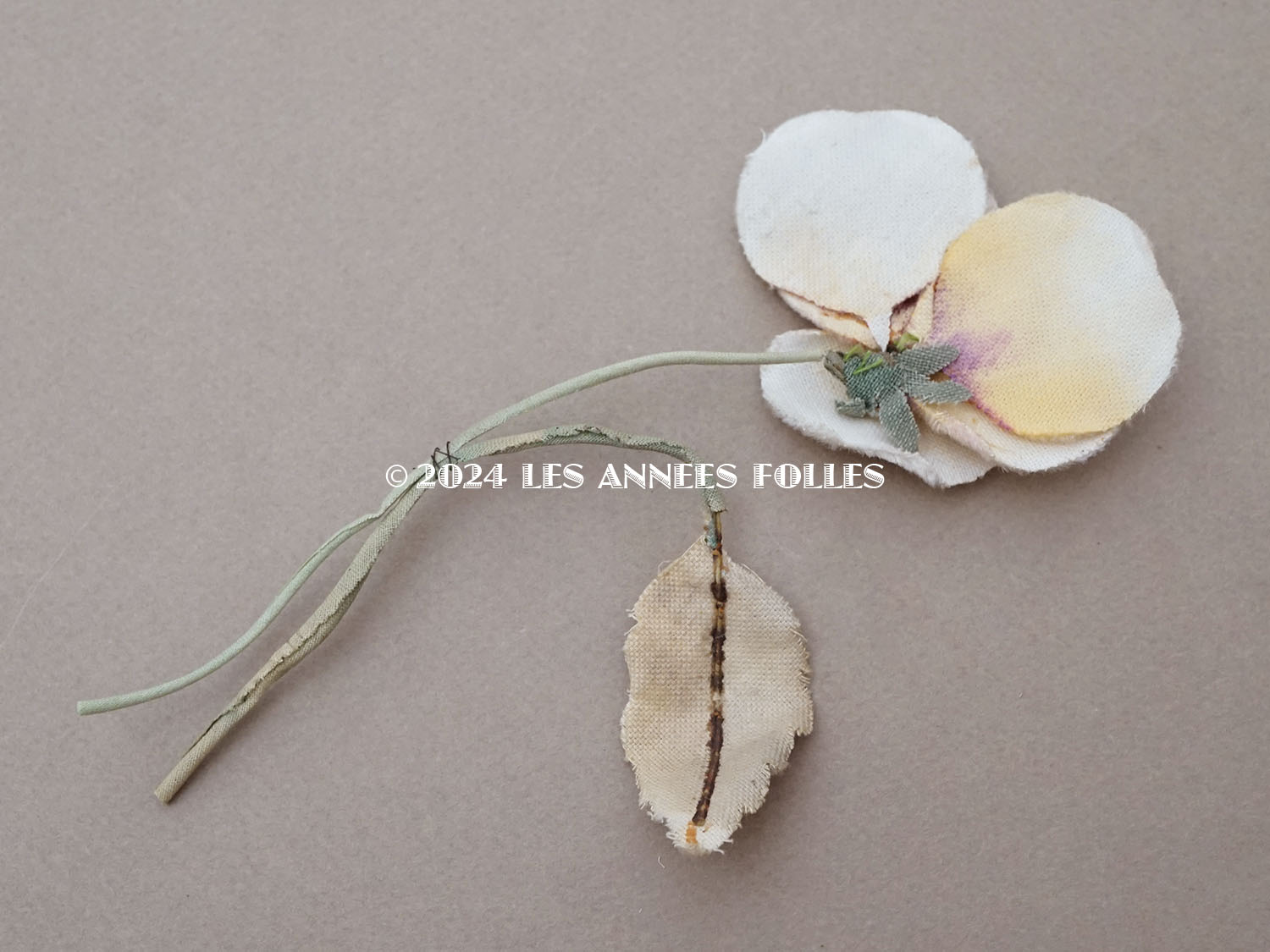 画像5: 1900年頃 アンティーク パンジーの布花 ホワイトベージュ (5)