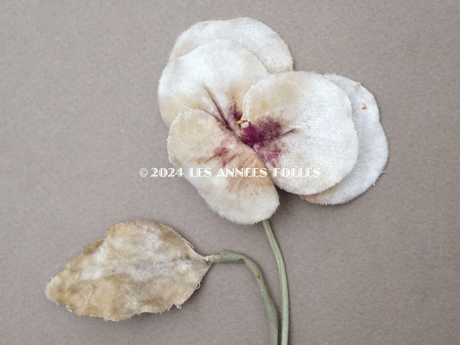 画像2: 1900年頃 アンティーク パンジーの布花 ホワイトベージュ (2)