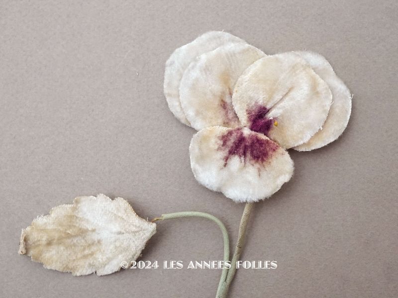 画像1: 1900年頃 アンティーク パンジーの布花 ホワイトベージュ (1)