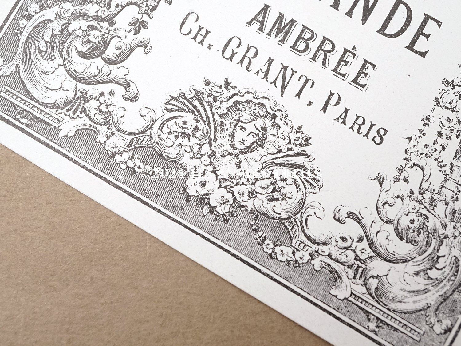 画像2: 19世紀末 アンティーク パフュームラベル EAU DE VIE DE LAVANDE AMBREE - CH.GRANT PARIS - (2)
