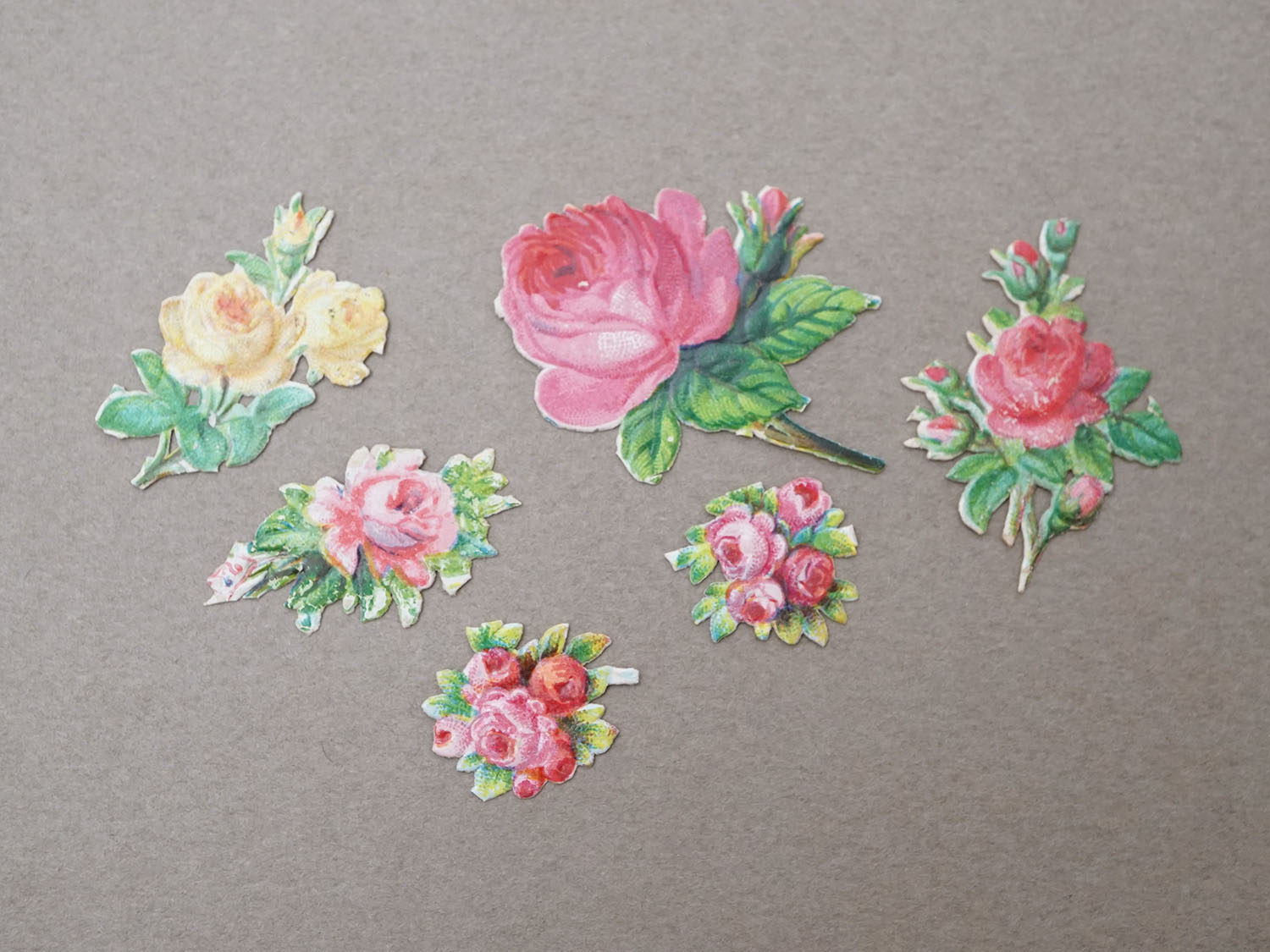 画像2: 1900年頃 アンティーク 薔薇 ダイカットクロモ 15点のセット (2)