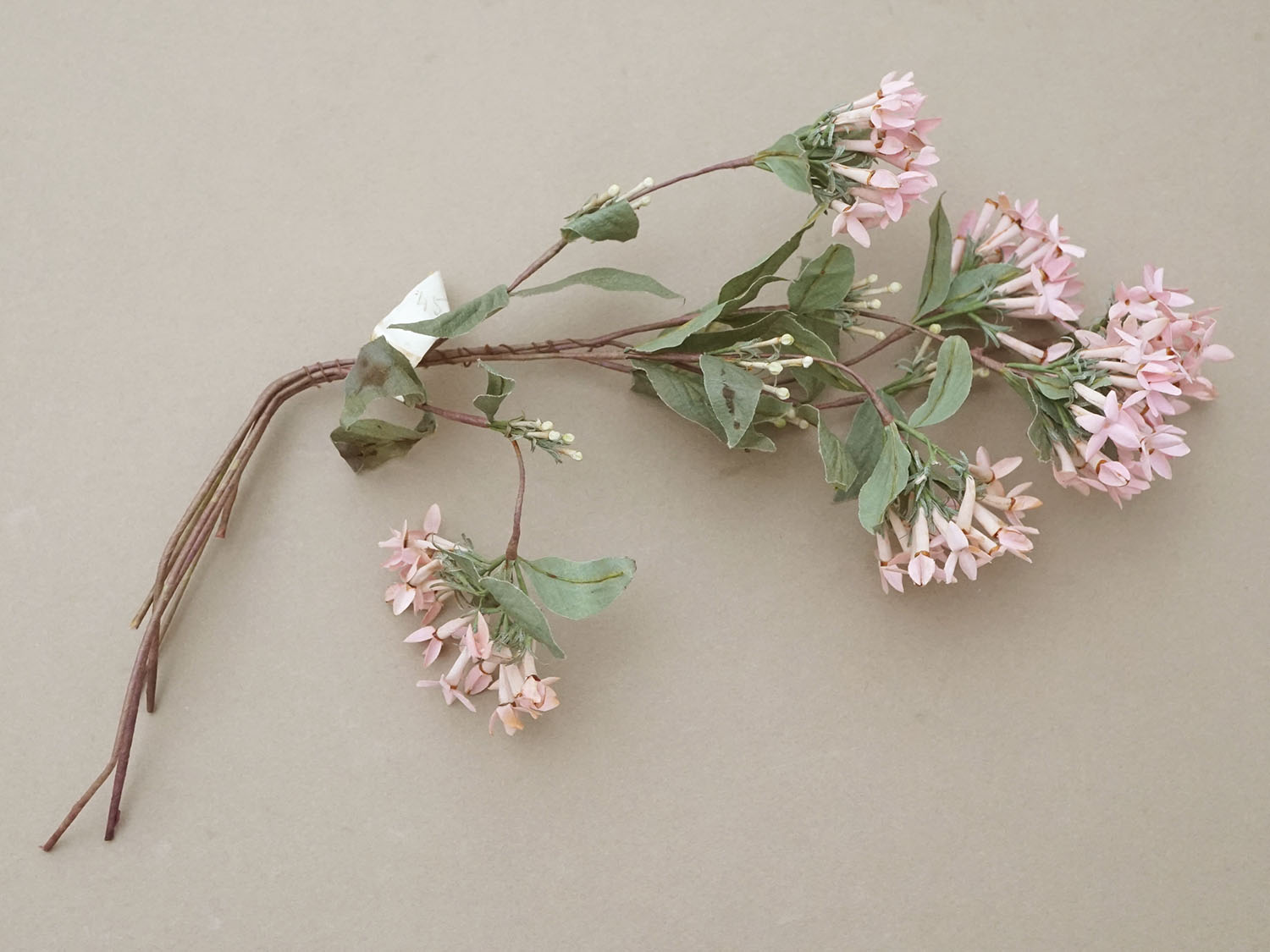 画像3: アンティーク 大きなブーケ  淡いピンクの布花 ラベル付 (3)