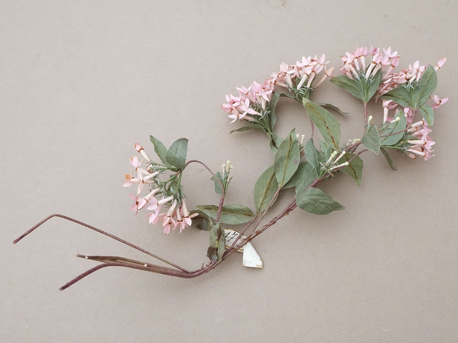 画像2: アンティーク 大きなブーケ  淡いピンクの布花 ラベル付 (2)