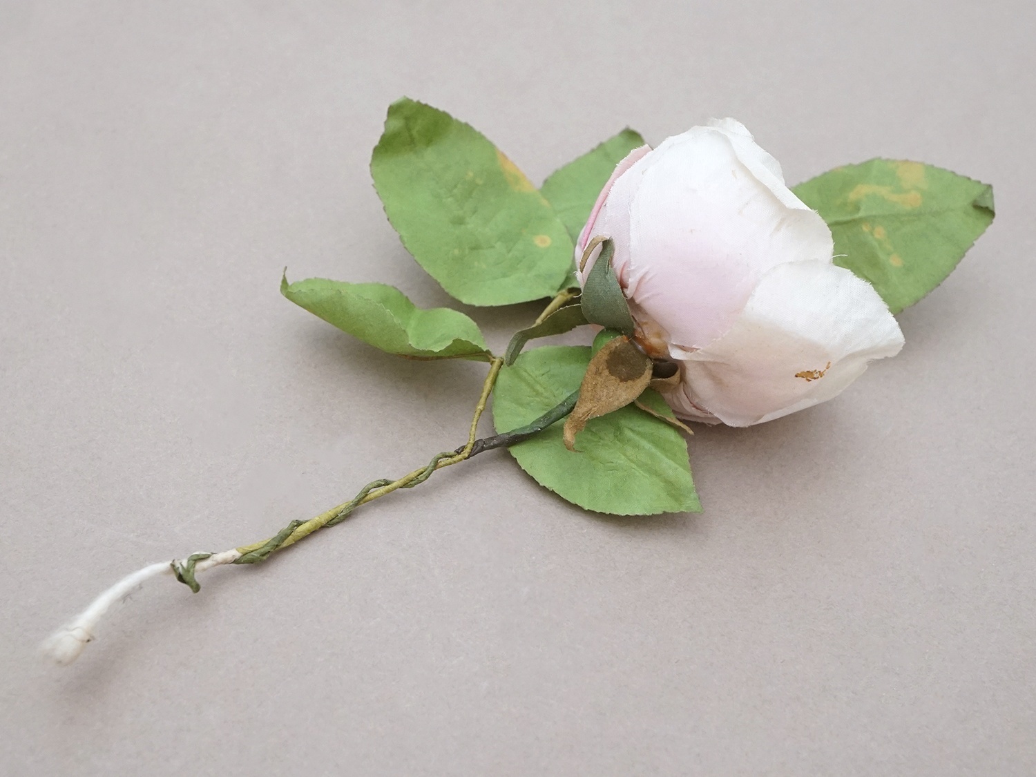 画像4: アンティーク パウダーピンクの薔薇の布花 クウォーターロゼット咲き (4)