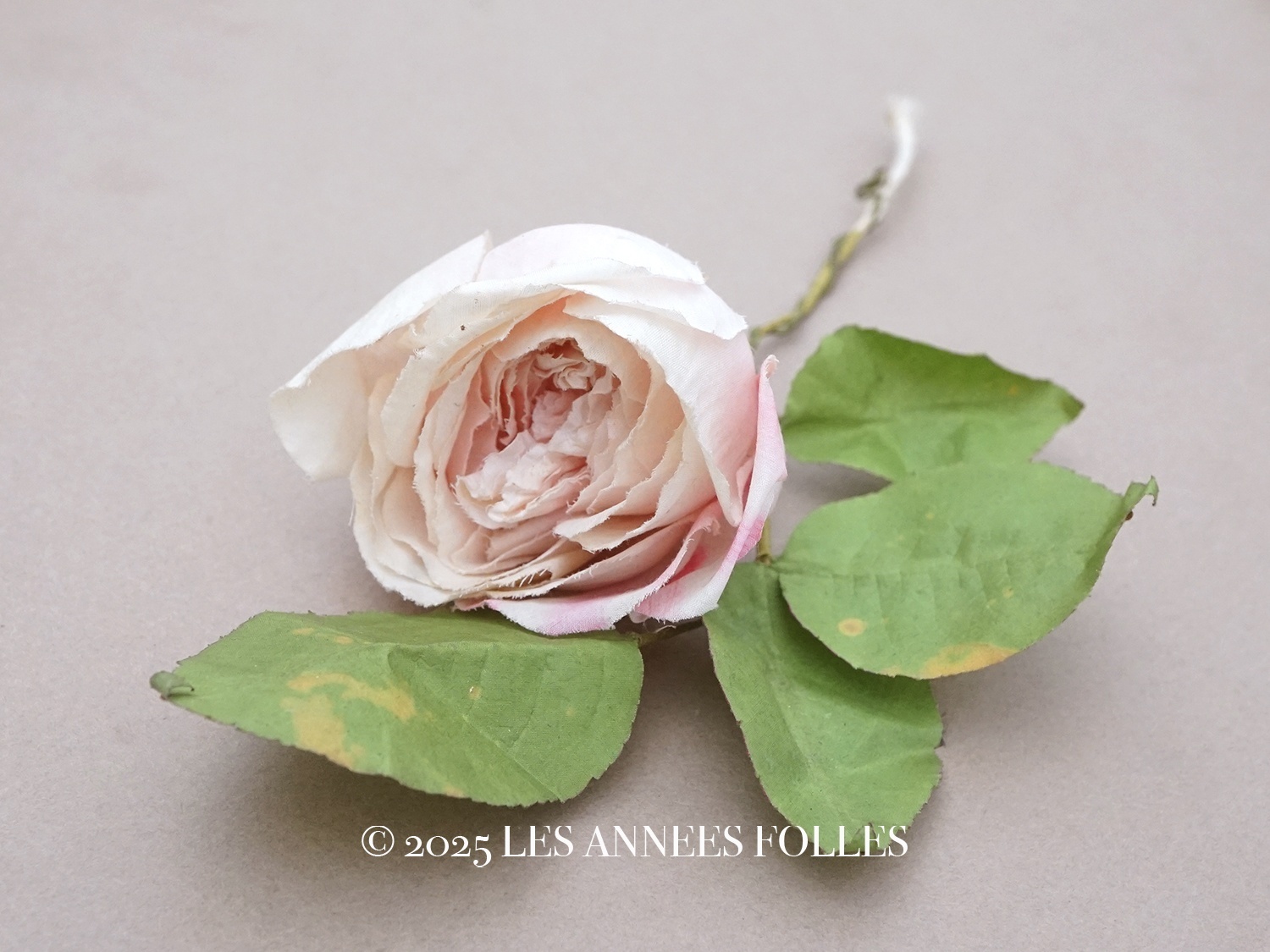 画像1: アンティーク パウダーピンクの薔薇の布花 クウォーターロゼット咲き (1)