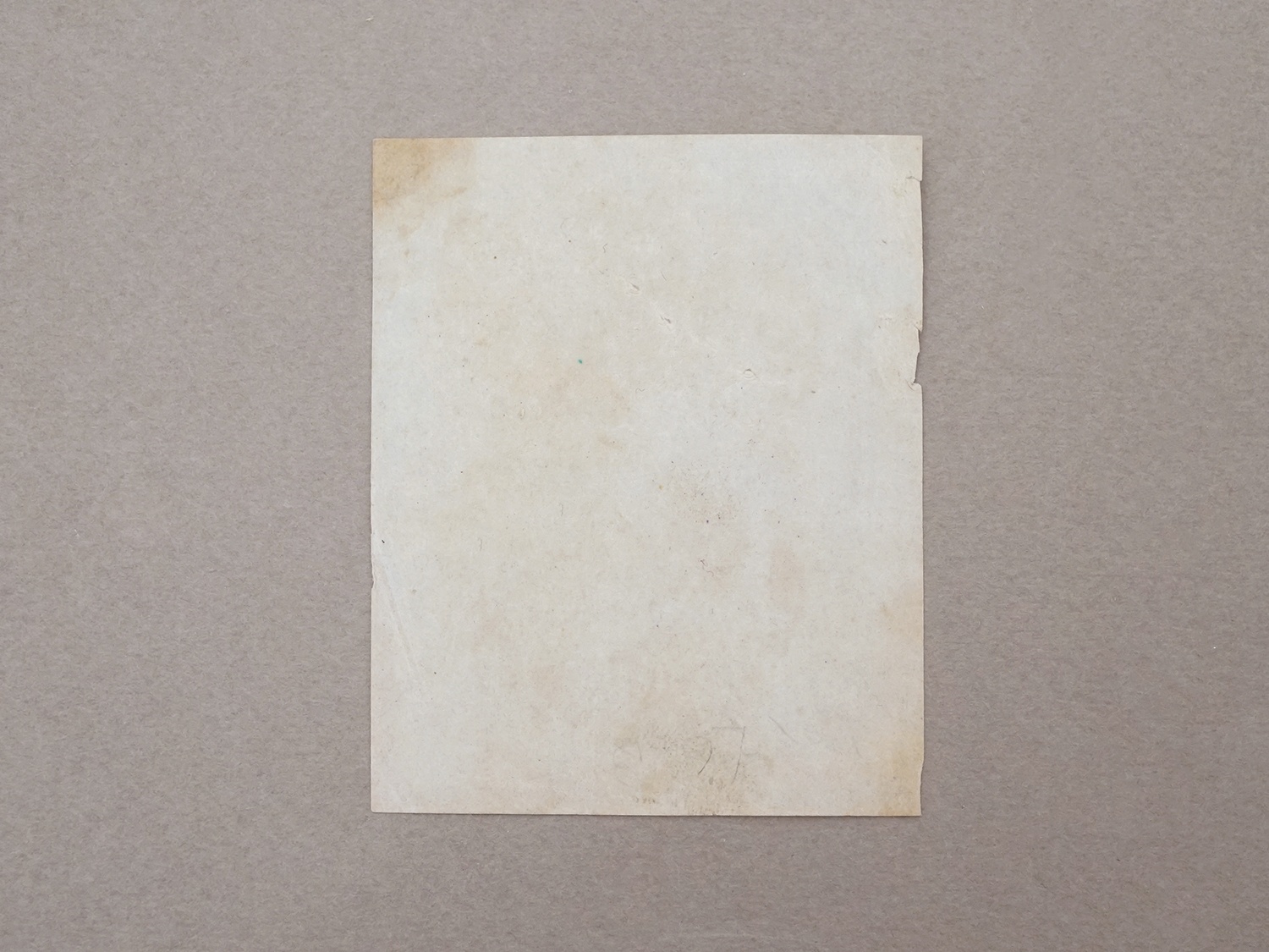 画像3: 19世紀 アンティーク 鈴蘭のパフュームラベル EAU SPIRITUEUSE MUGUET POUR LA TOILETTE - HOUBIGANT PARIS - (3)