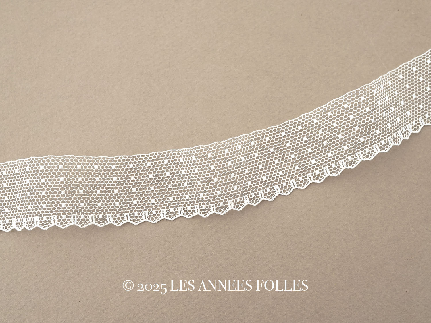 アンティーク ドット柄 スカラップ チュールレース 2.5cm幅 : LES
