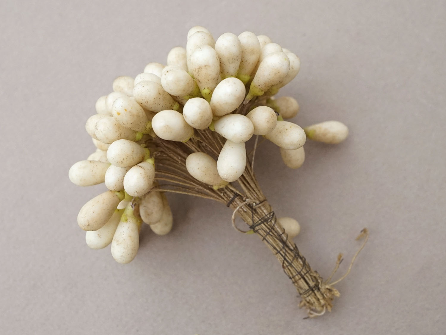 画像17: 1900年頃 アンティーク ワックスフラワーのティージュ 約100ピース (17)