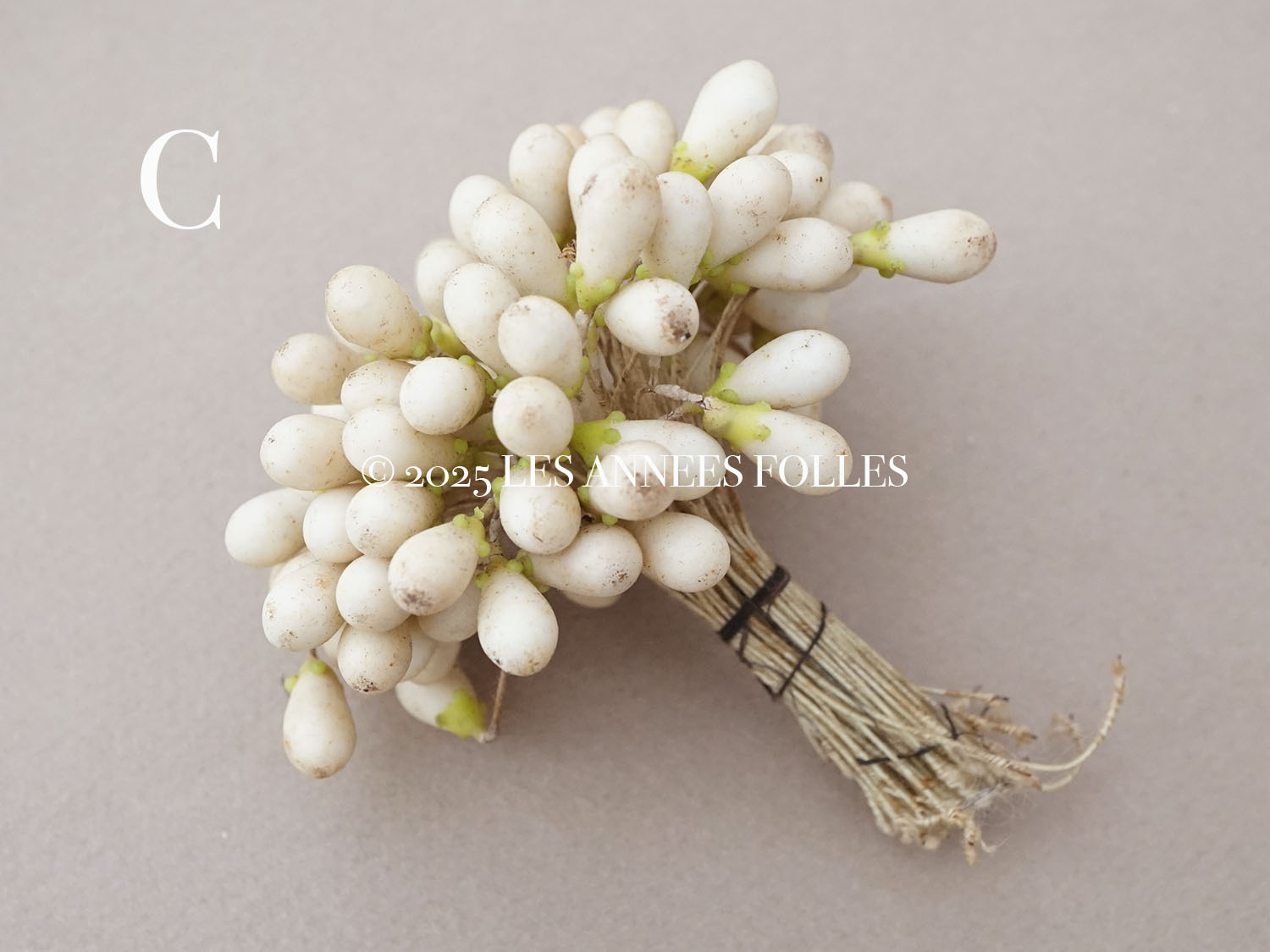 画像10: 1900年頃 アンティーク ワックスフラワーのティージュ 約100ピース (10)