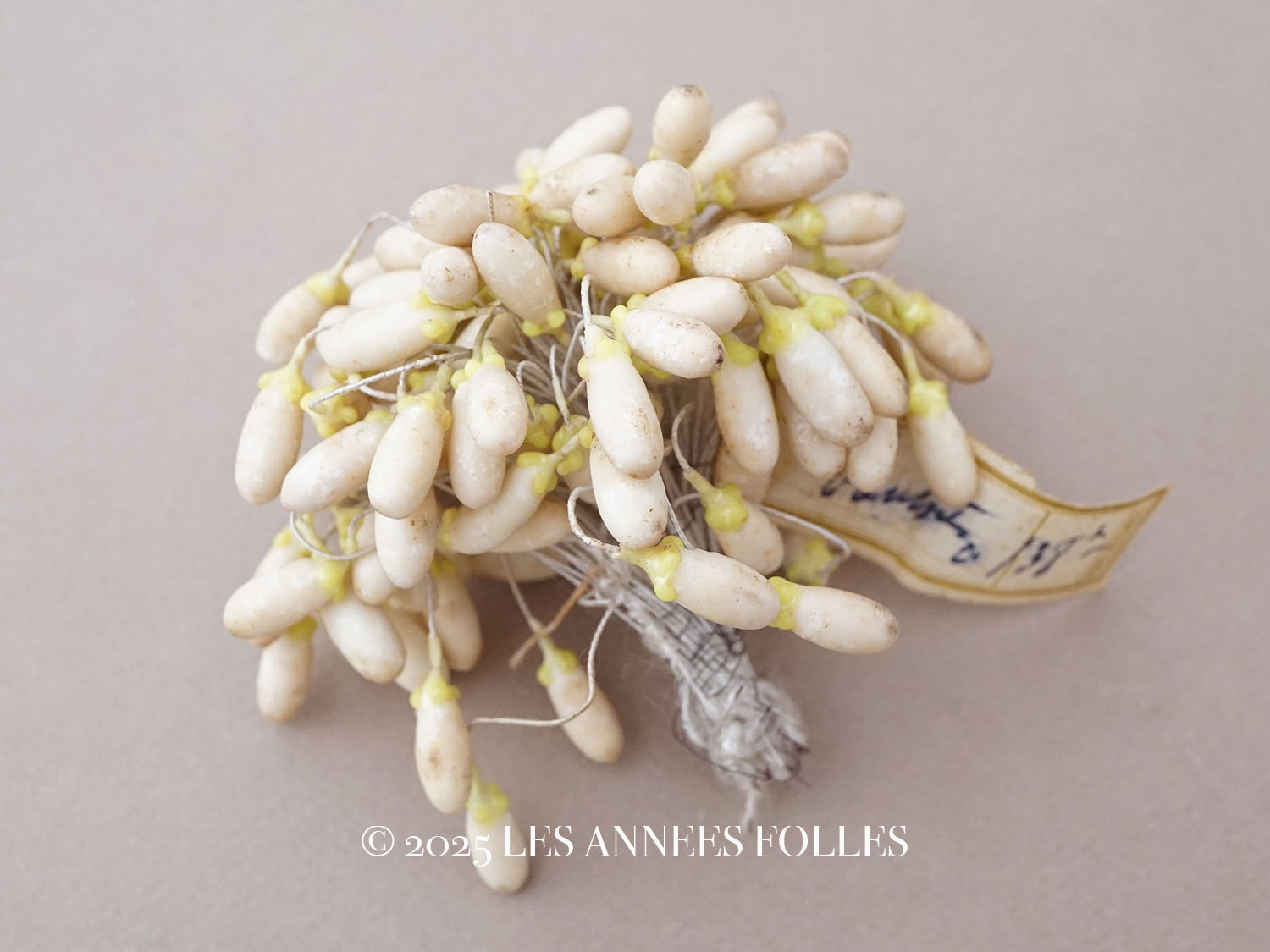 フランス アンティーク ワックスフラワー 1900年頃 アンティーク ワックスフラワーのティージュ 約100