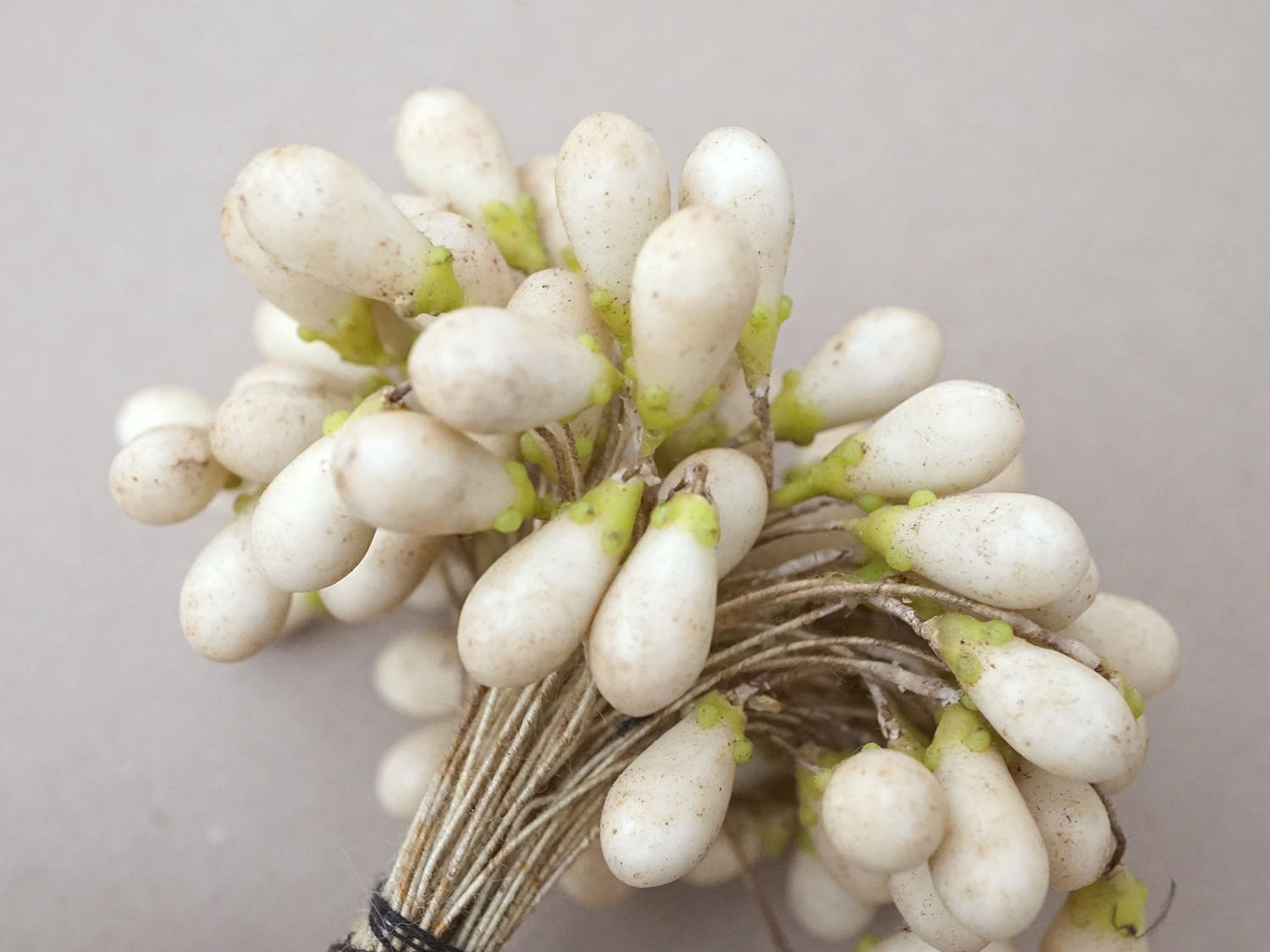 画像12: 1900年頃 アンティーク ワックスフラワーのティージュ 約100ピース (12)