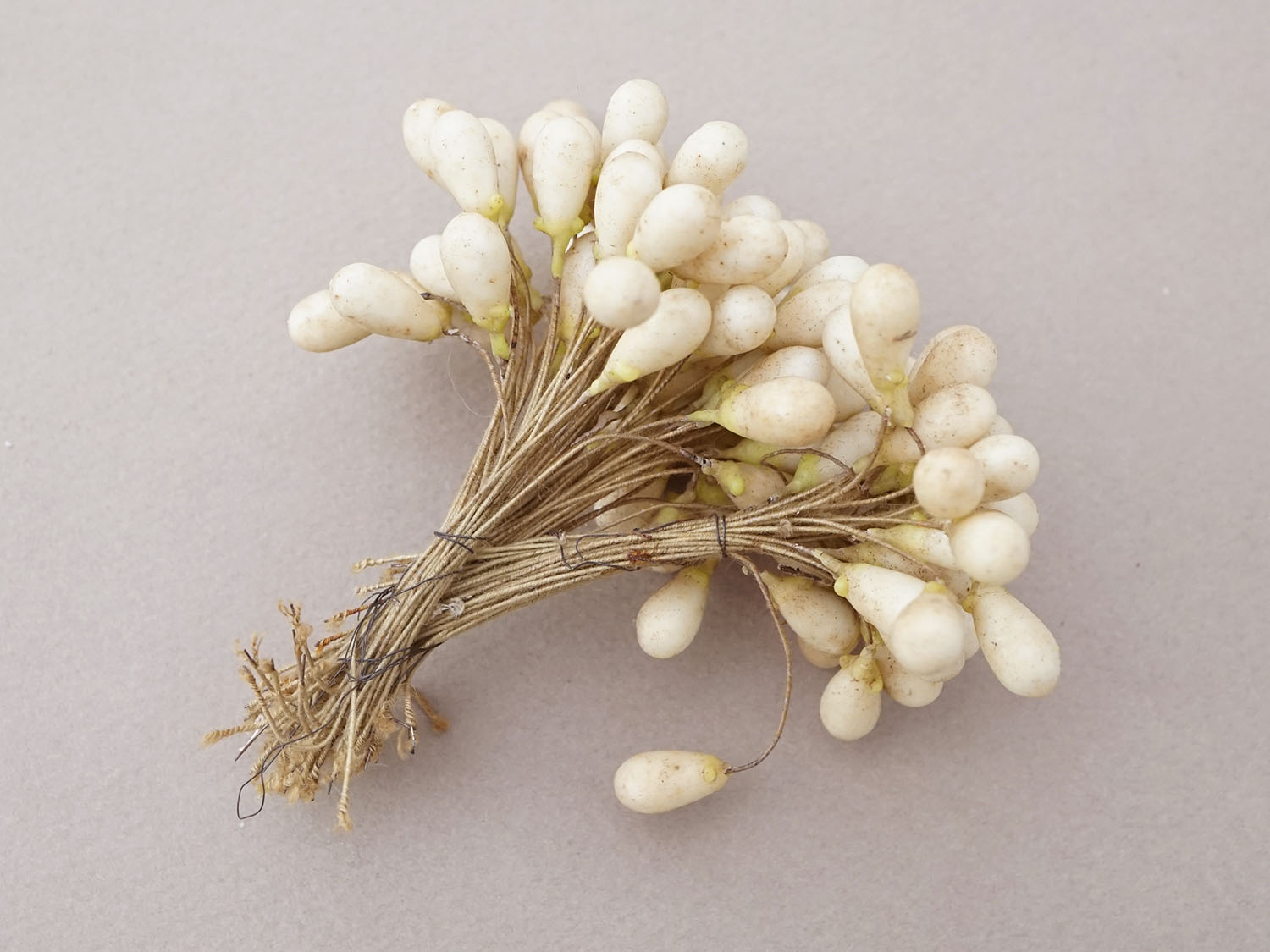 画像8: 1900年頃 アンティーク ワックスフラワーのティージュ 約100ピース (8)