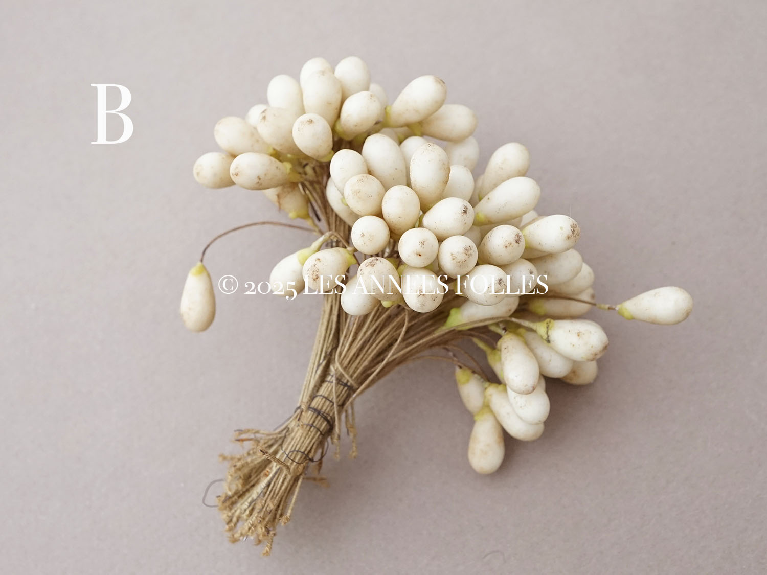 画像7: 1900年頃 アンティーク ワックスフラワーのティージュ 約100ピース (7)