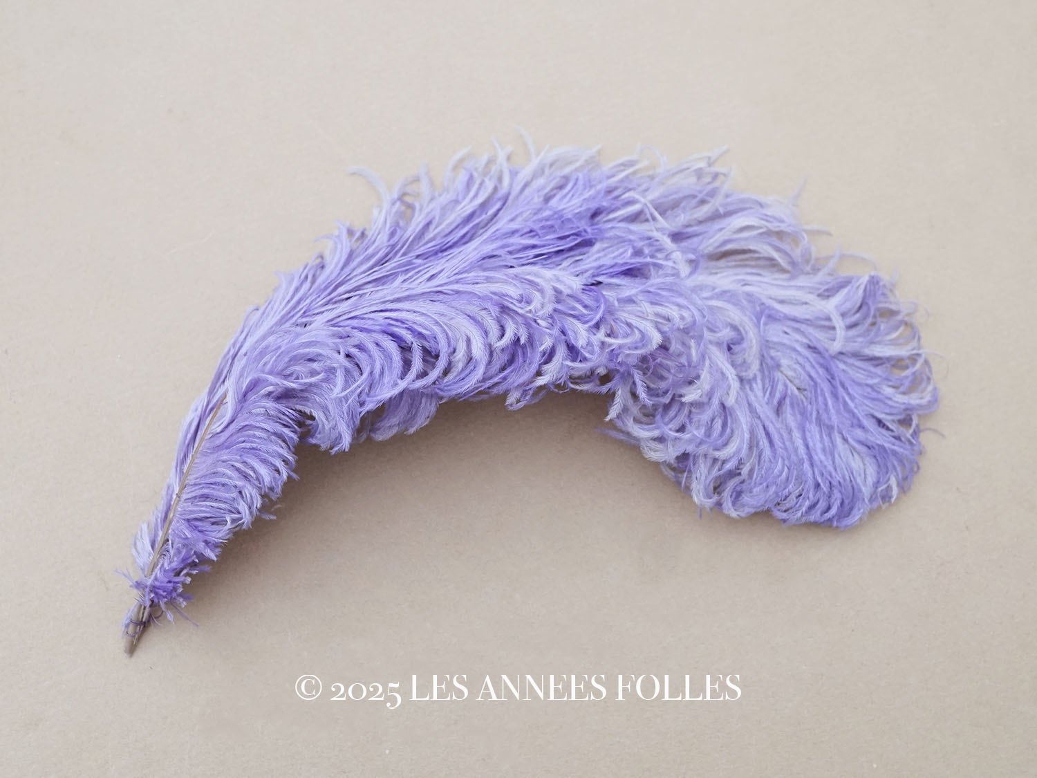 画像1: アンティーク 小さなフェザー ラヴェンダー 羽飾り  (1)