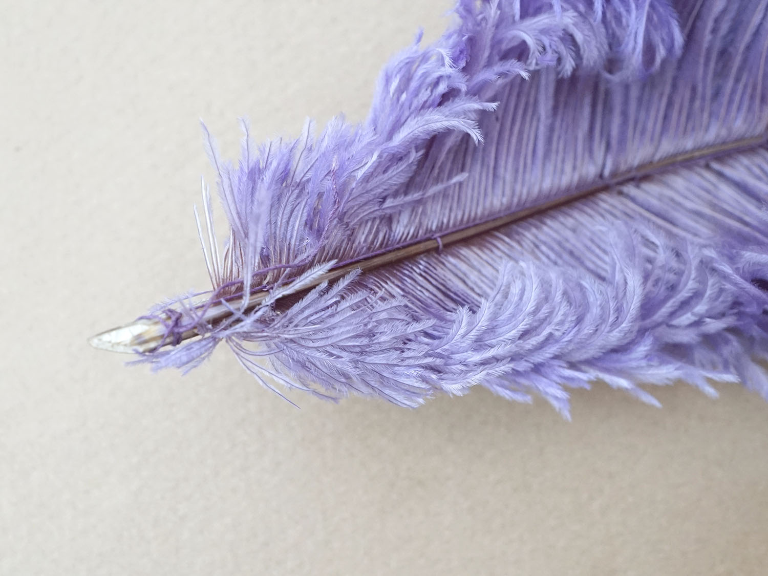 画像5: アンティーク 小さなフェザー ラヴェンダー 羽飾り  (5)