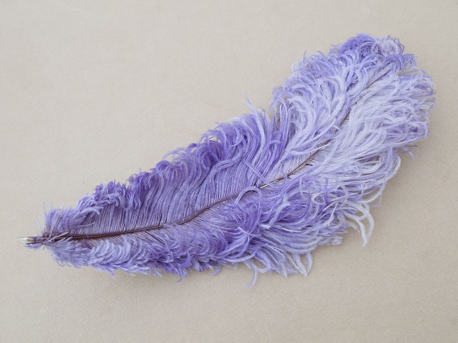 画像4: アンティーク 小さなフェザー ラヴェンダー 羽飾り  (4)