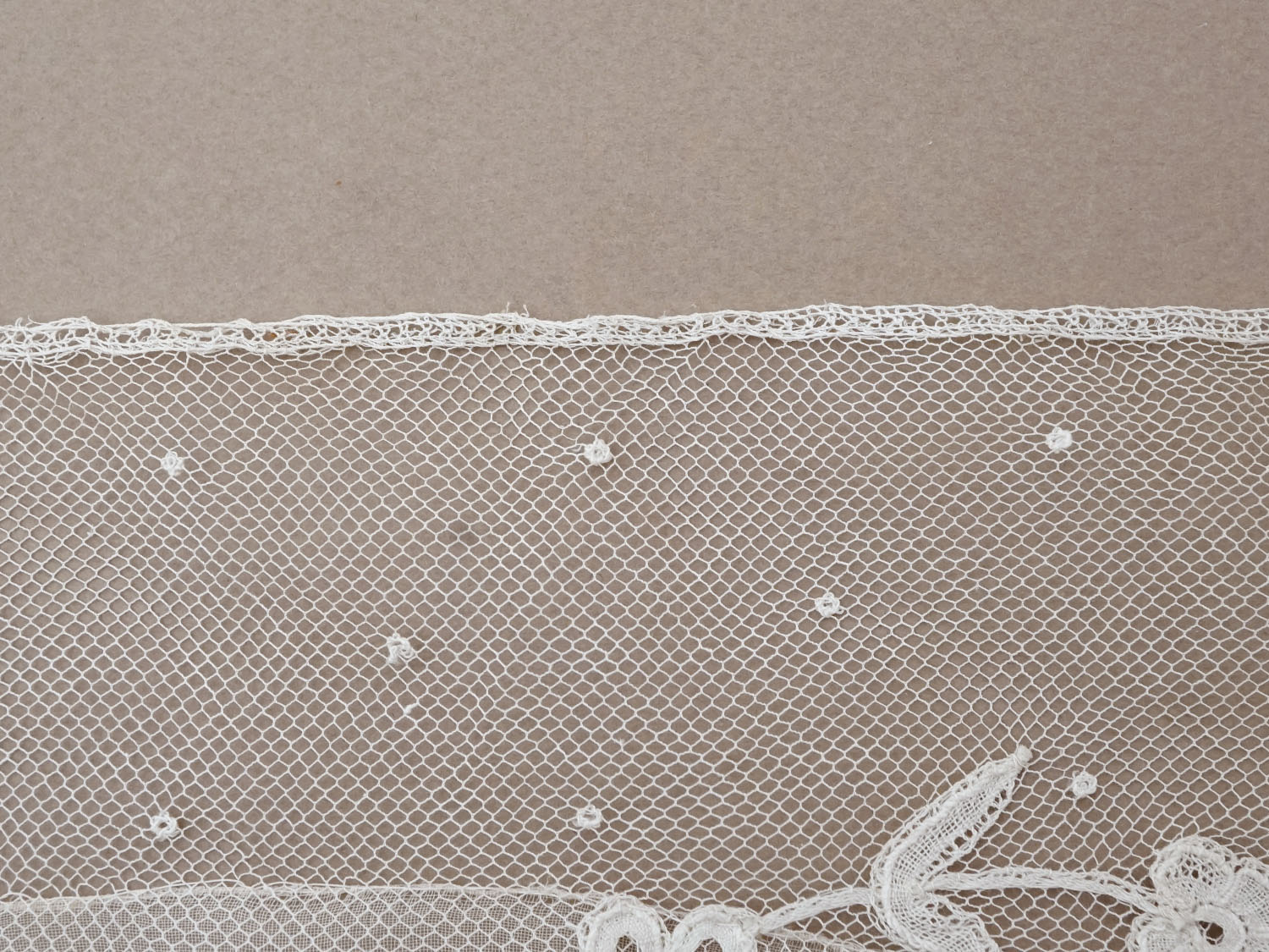 画像11: 19世紀末 アンティーク ドレスパーツ リボンのモチーフ アプリカシオン・アングルテール  4.2m 幅広22.5cmオフホワイト ボビンレース (11)