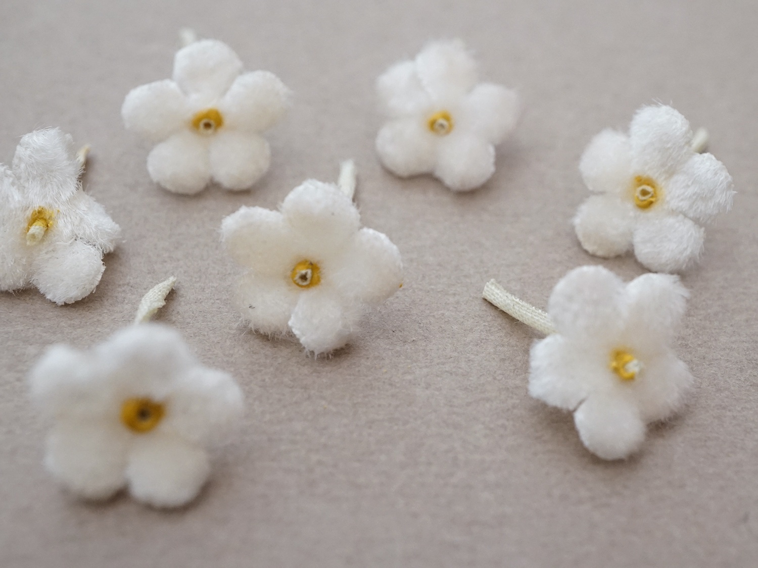 画像2: アンティーク 勿忘草 ベルベットの布花  オフホワイト 7ピースのセット 15mm (2)