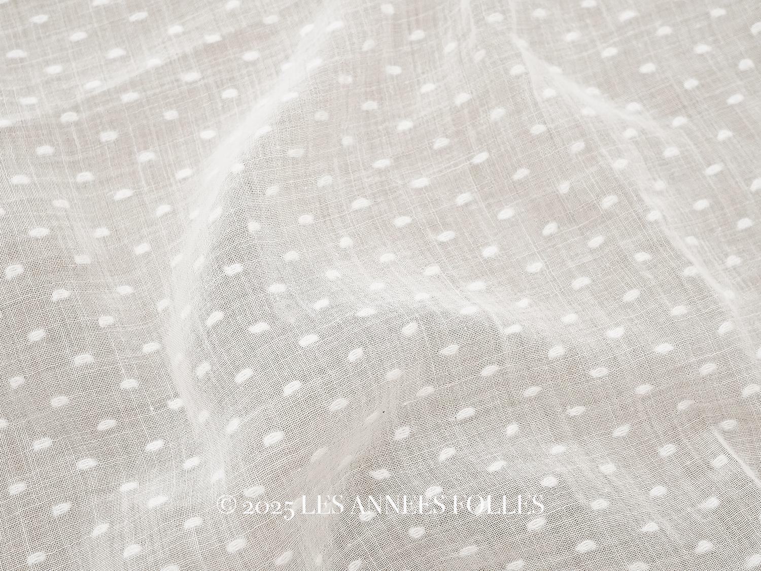 画像1: アンティーク  ドット刺繍入り コットンオーガンジー オフホワイト ファブリック 83×77cm (1)