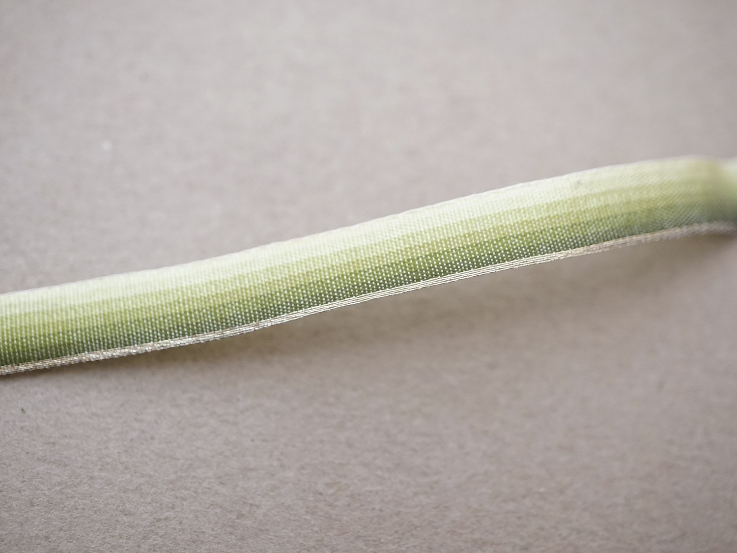 画像2: アンティーク シルクリボン 金糸の縁取り グリーンのグラデーション 幅7mm シルク製 リボン (2)