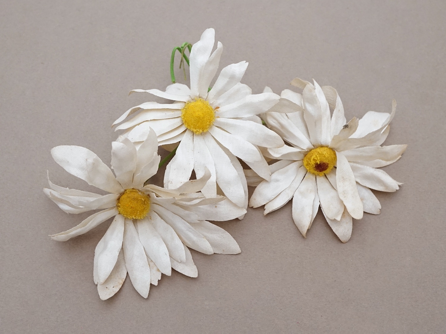 画像4: アンティーク マーガレットの布花  (4)