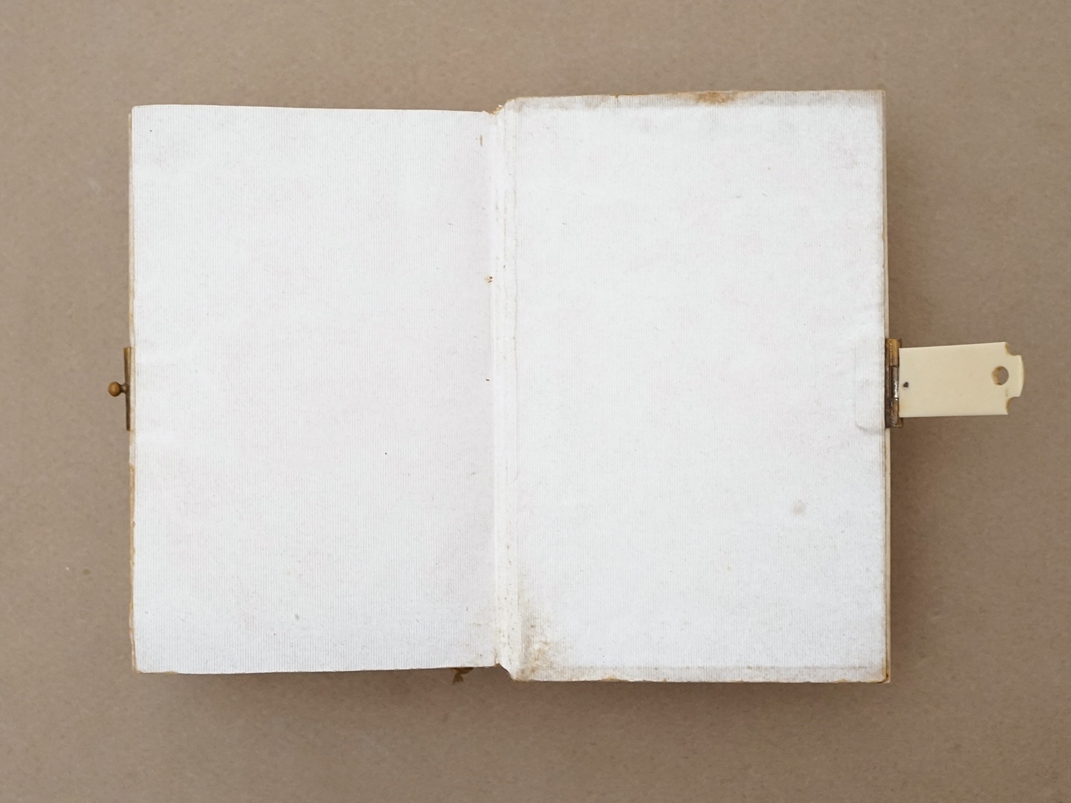 画像7: ＊蚤の市＊ 1889年 ミサ典書 クロス＆葡萄の木＆麦の穂 聖書  (7)