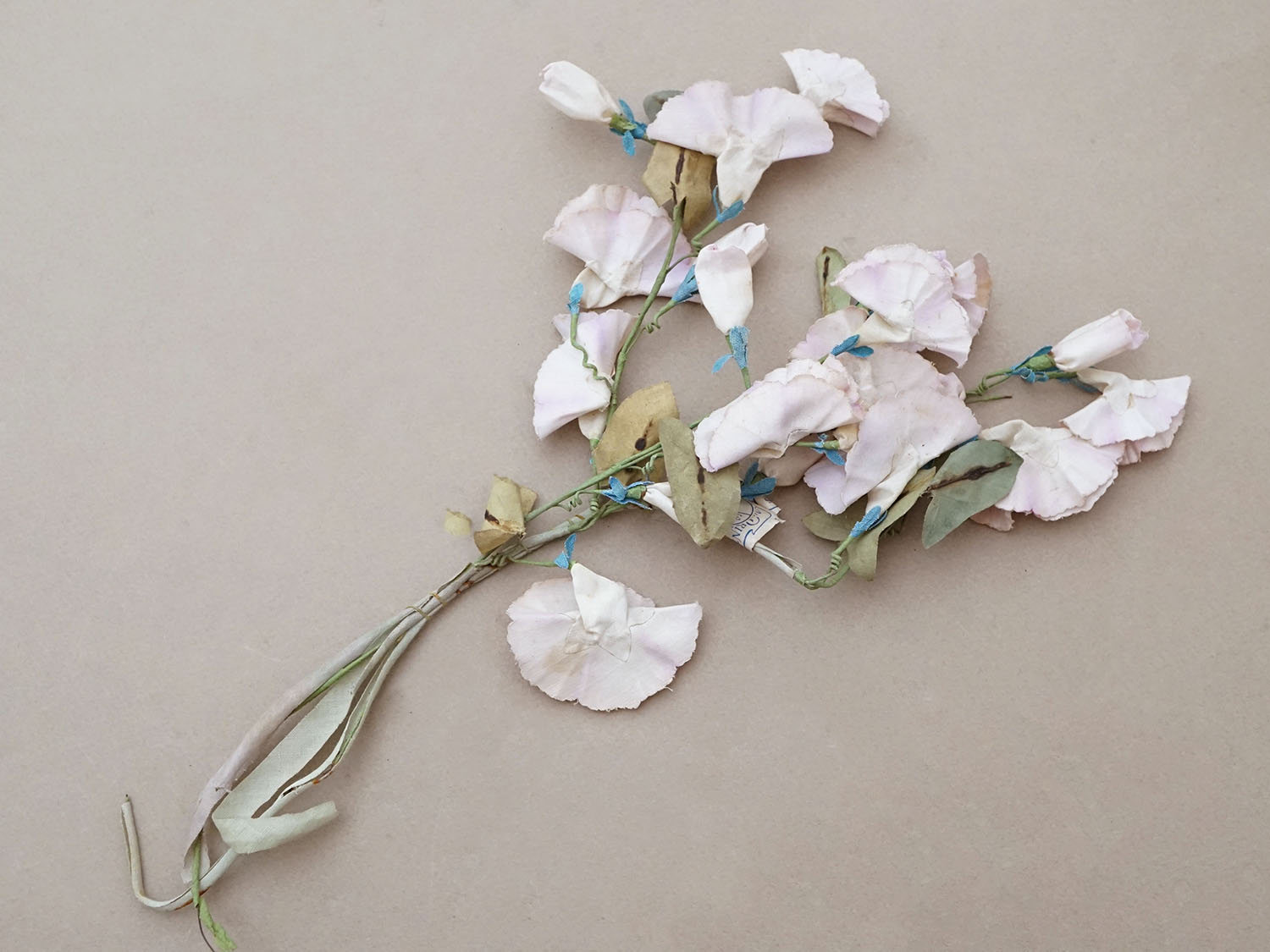 画像3: ＊蚤の市＊アンティーク 布花 昼顔 プランタン百貨店のラベル付 - AU PRINTEMPS - (3)