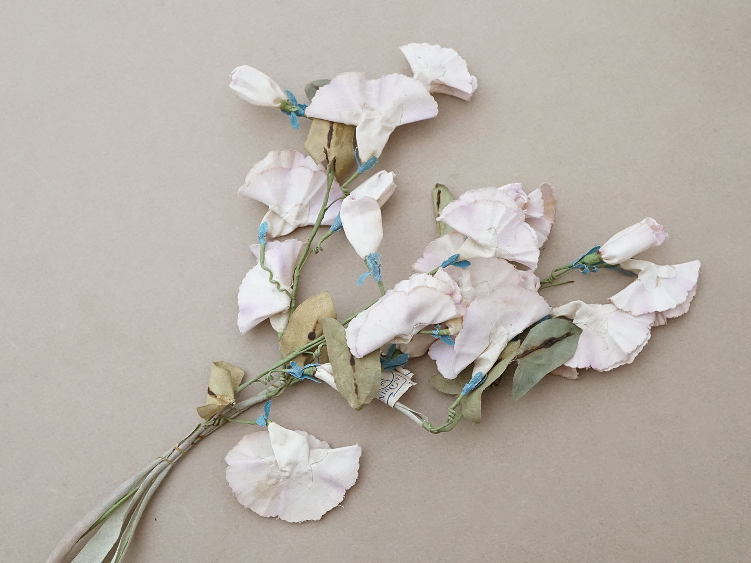 画像2: ＊蚤の市＊アンティーク 布花 昼顔 プランタン百貨店のラベル付 - AU PRINTEMPS - (2)