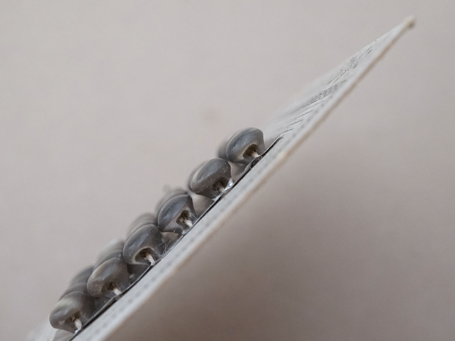 画像3: アンティーク マザーオブパール製 極小 ボタン 5mm 24ピース チャコールグレー シェルボタン (3)