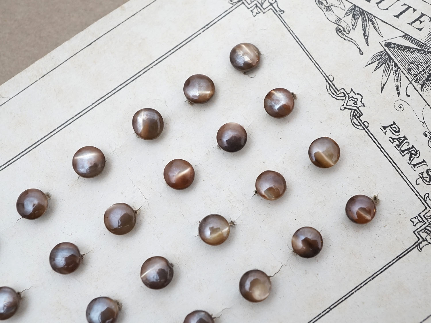 画像3: アンティーク マザーオブパール製 極小 ボタン 5mm 24ピース シェルボタン ブラウン (3)