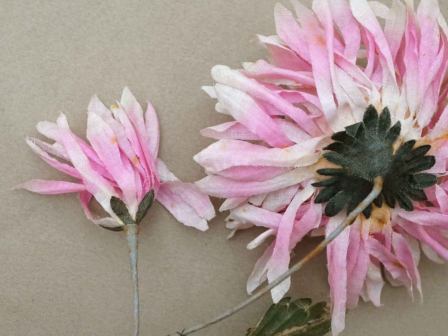 画像3:  アンティーク 布花 西洋菊 クリザンテーム ピンク (3)