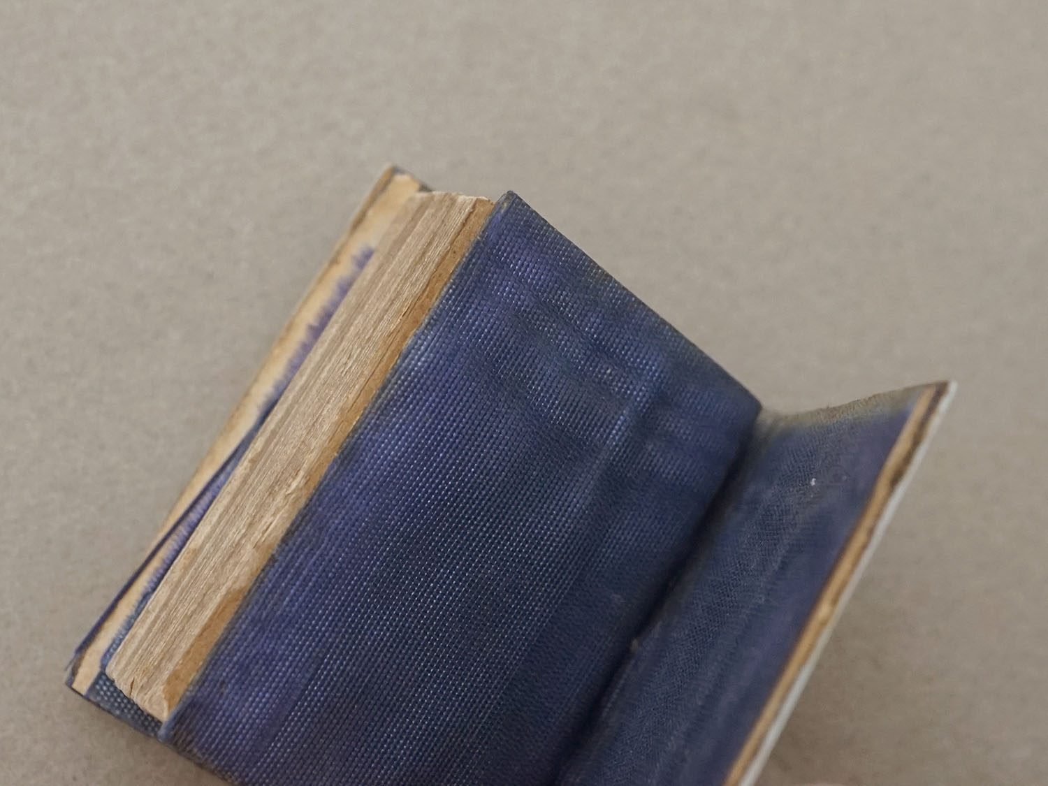 画像7: 19世紀 アンティーク ドール用 祈祷書 ボーン製 ダークブルーのベルベット ドールハウス PAROISSIEN (7)