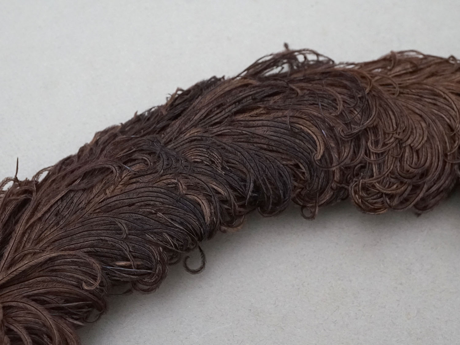 画像3: ＊蚤の市＊アンティーク  帽子用 フェザー チョコレートブラウン 羽飾り  (3)