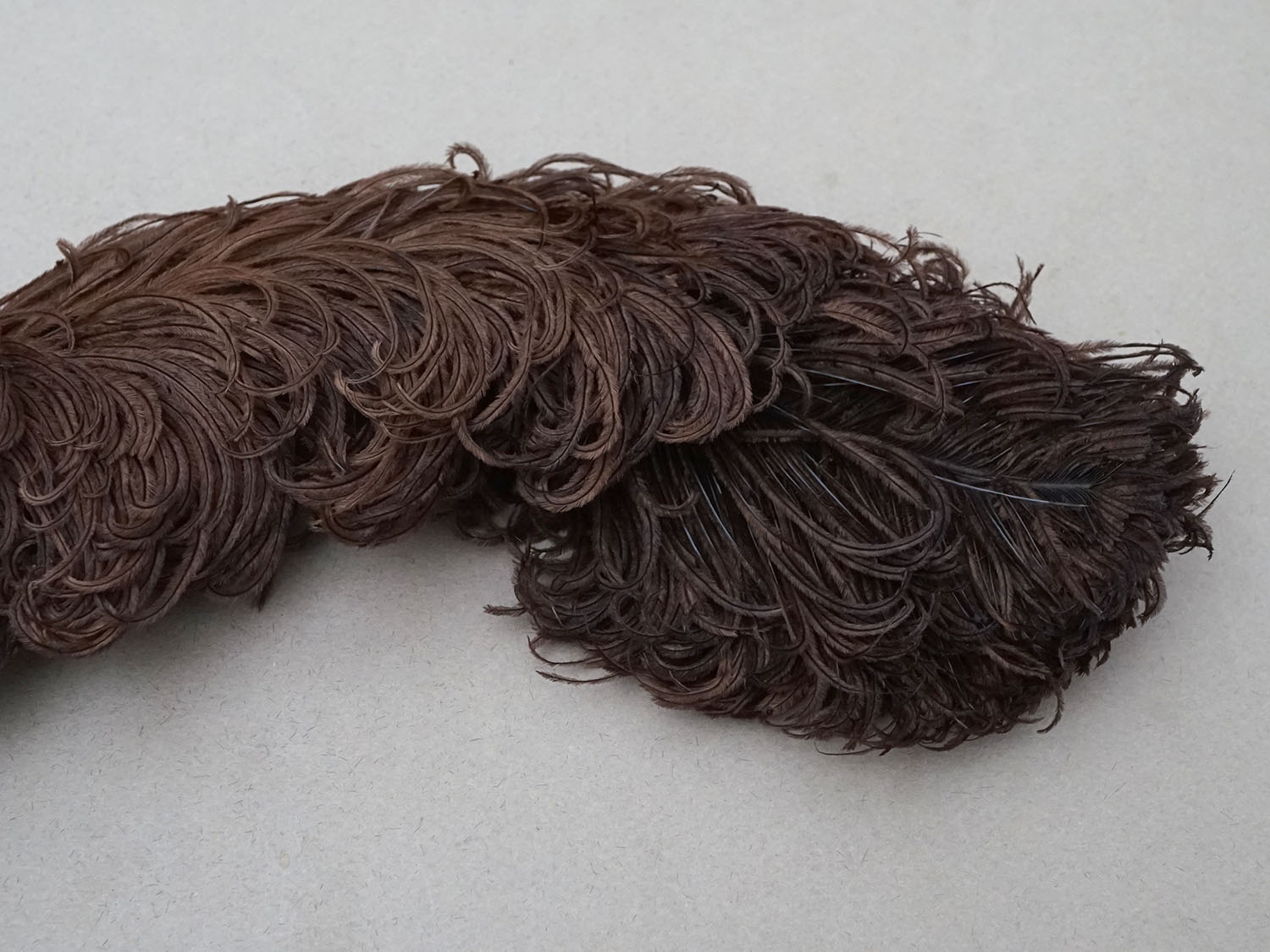 画像4: ＊蚤の市＊アンティーク  帽子用 フェザー チョコレートブラウン 羽飾り  (4)