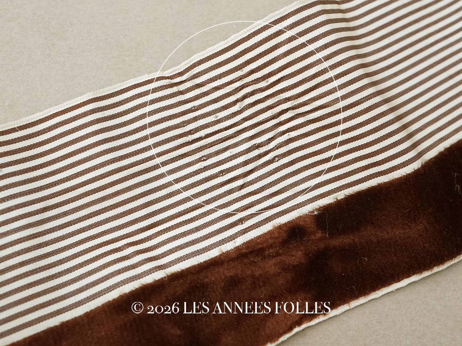 画像4: 1900年頃 アンティーク シルク製 リボン ストライプ ブラウンのベルベット  2.4m (4)