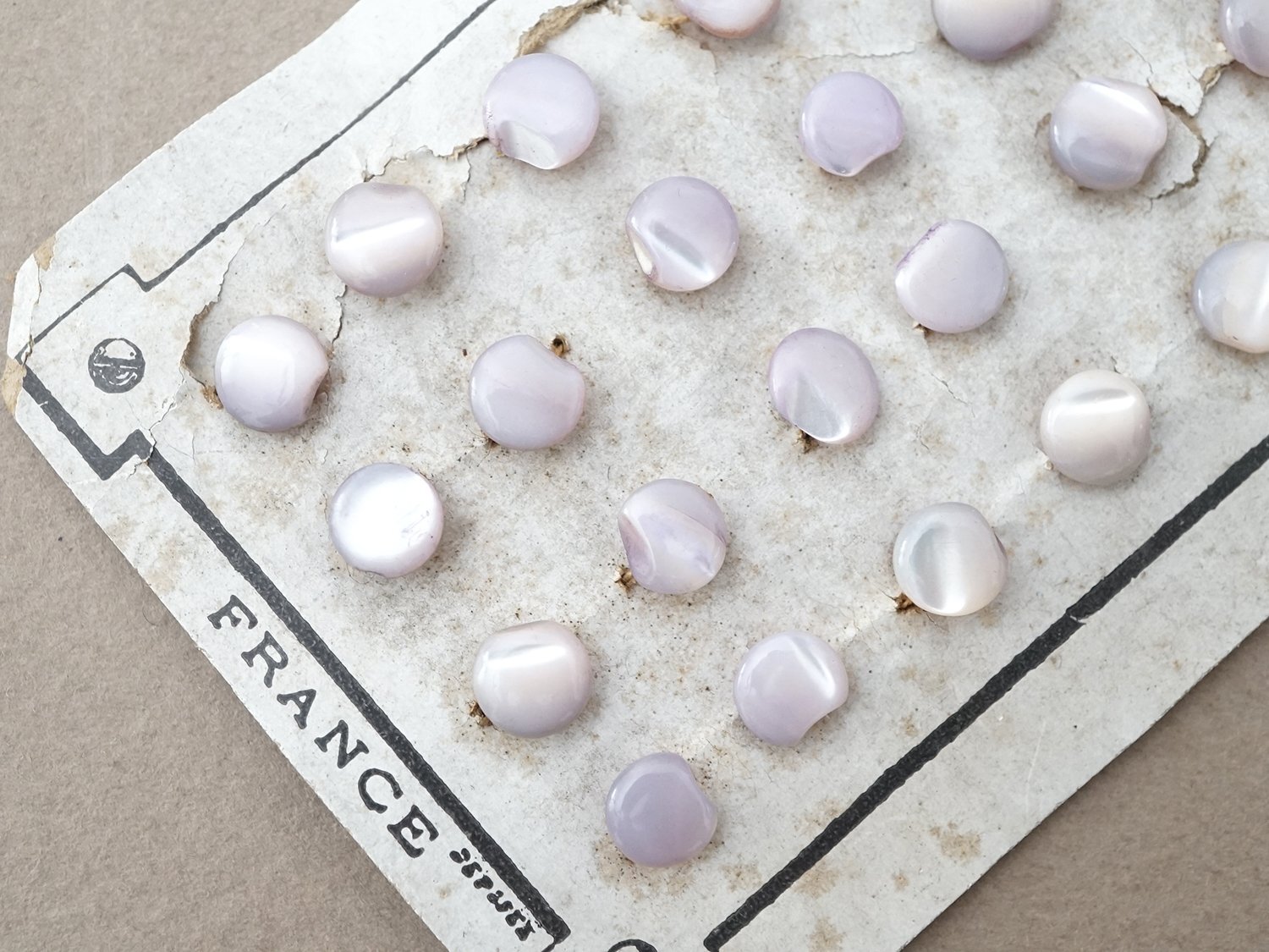 画像3: アンティーク マザーオブパール製 ボタン ホワイトパープル 6.5mm 24ピース シェルボタン  (3)