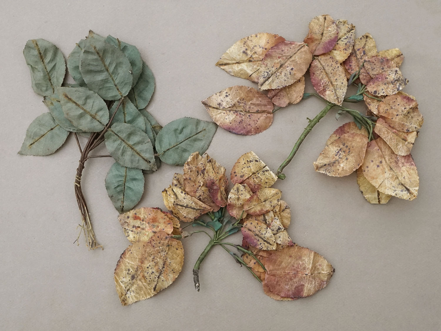 画像6: ＊蚤の市セット＊ アンティーク 1900年頃 大きなリーフのセット　 (6)