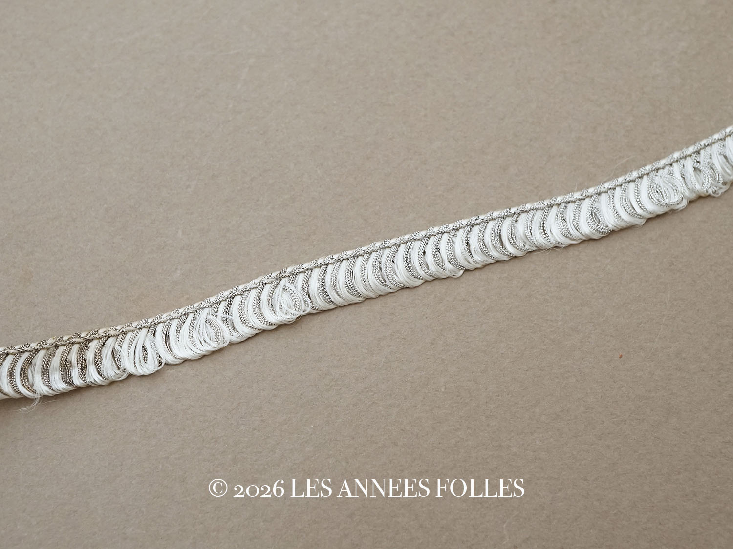 画像1: アンティーク  トリム フリンジ ホワイトシルバー 9mm幅 (1)