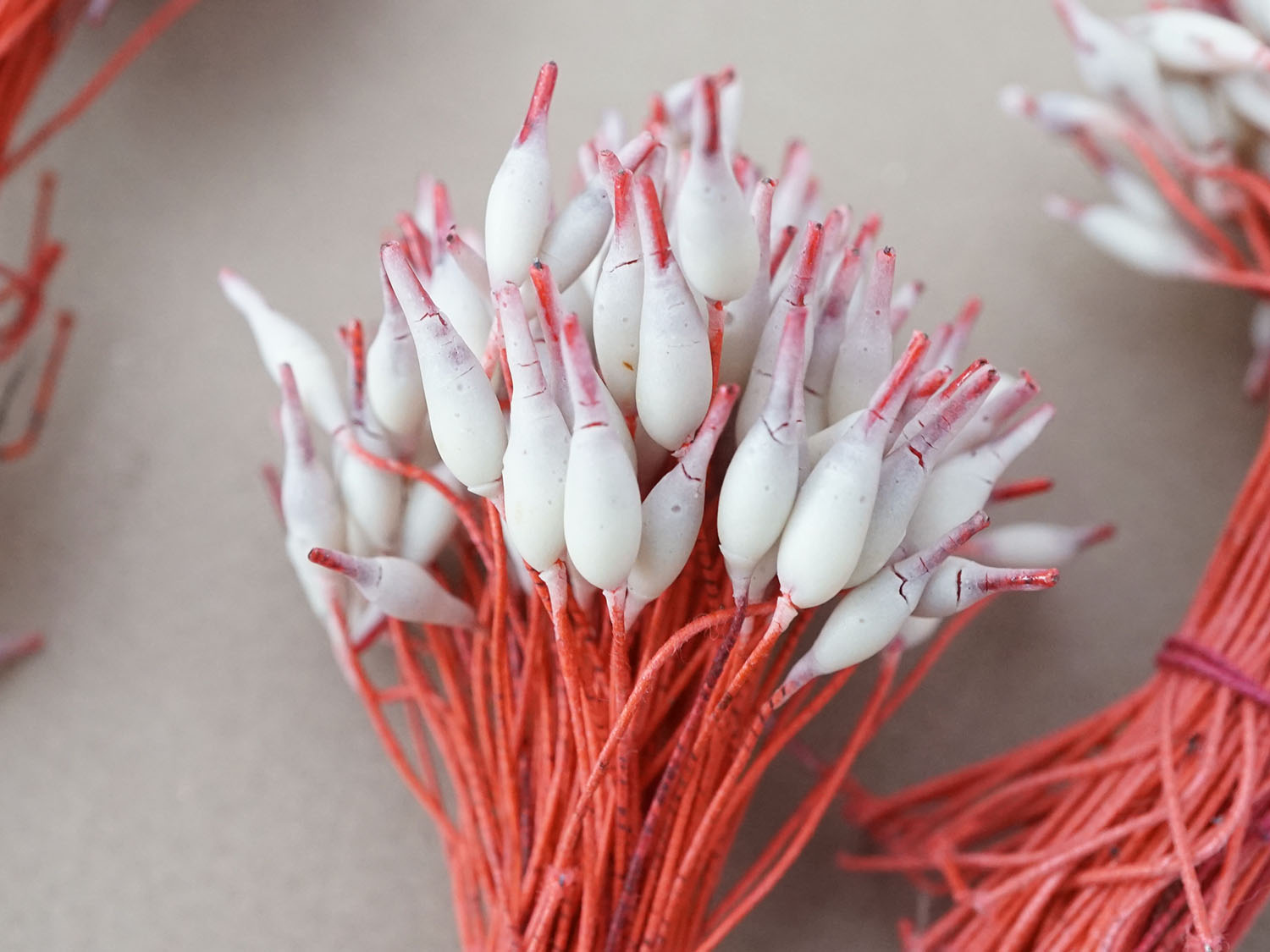 画像3: ＊蚤の市セット＊アンティーク ペップ  赤＆ライトグレー 花芯 4点セット (3)