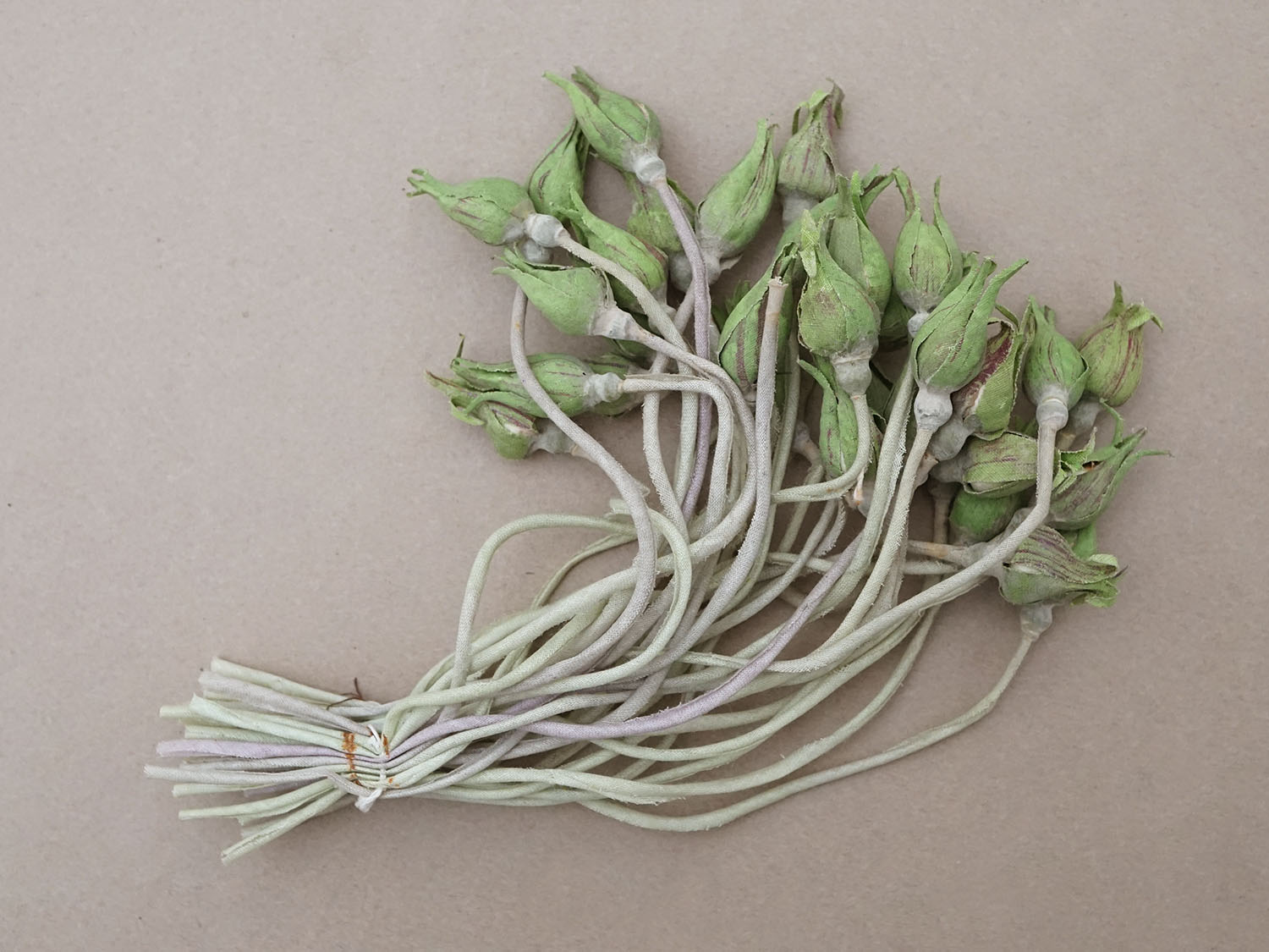 画像4: アンティーク 薔薇の蕾のブーケ 布花材料 (4)