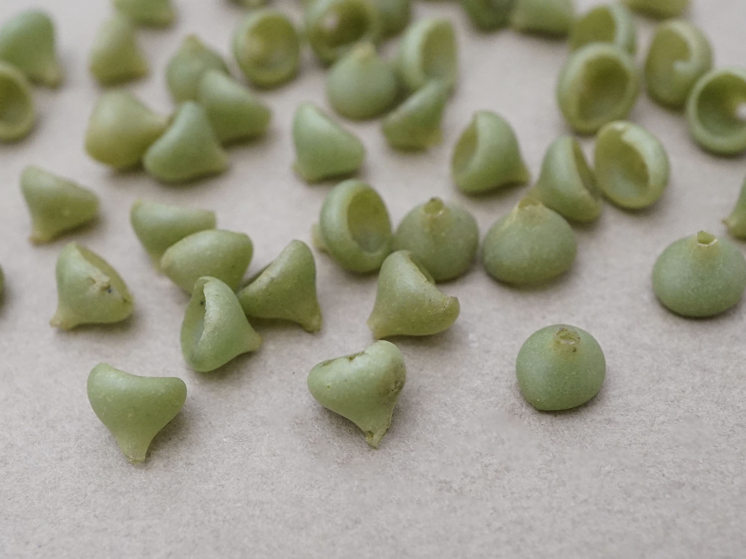 画像2: アンティーク ガラス製 布花用 萼 48ピースのセット (2)