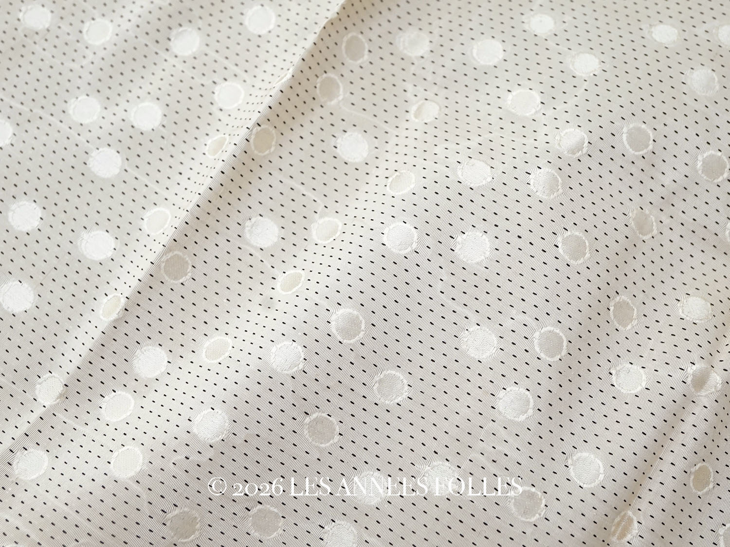 画像1: 19世紀末 アンティーク シルク製 ファブリック ジャガード織 ドット柄 (1)