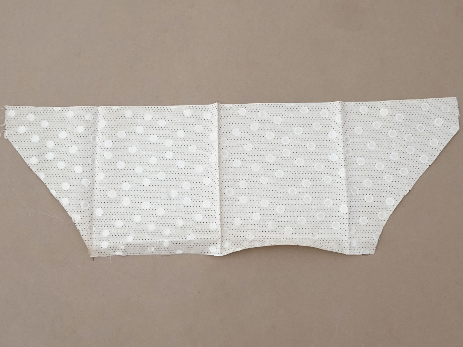 画像6: 19世紀末 アンティーク シルク製 ファブリック ジャガード織 ドット柄 (6)