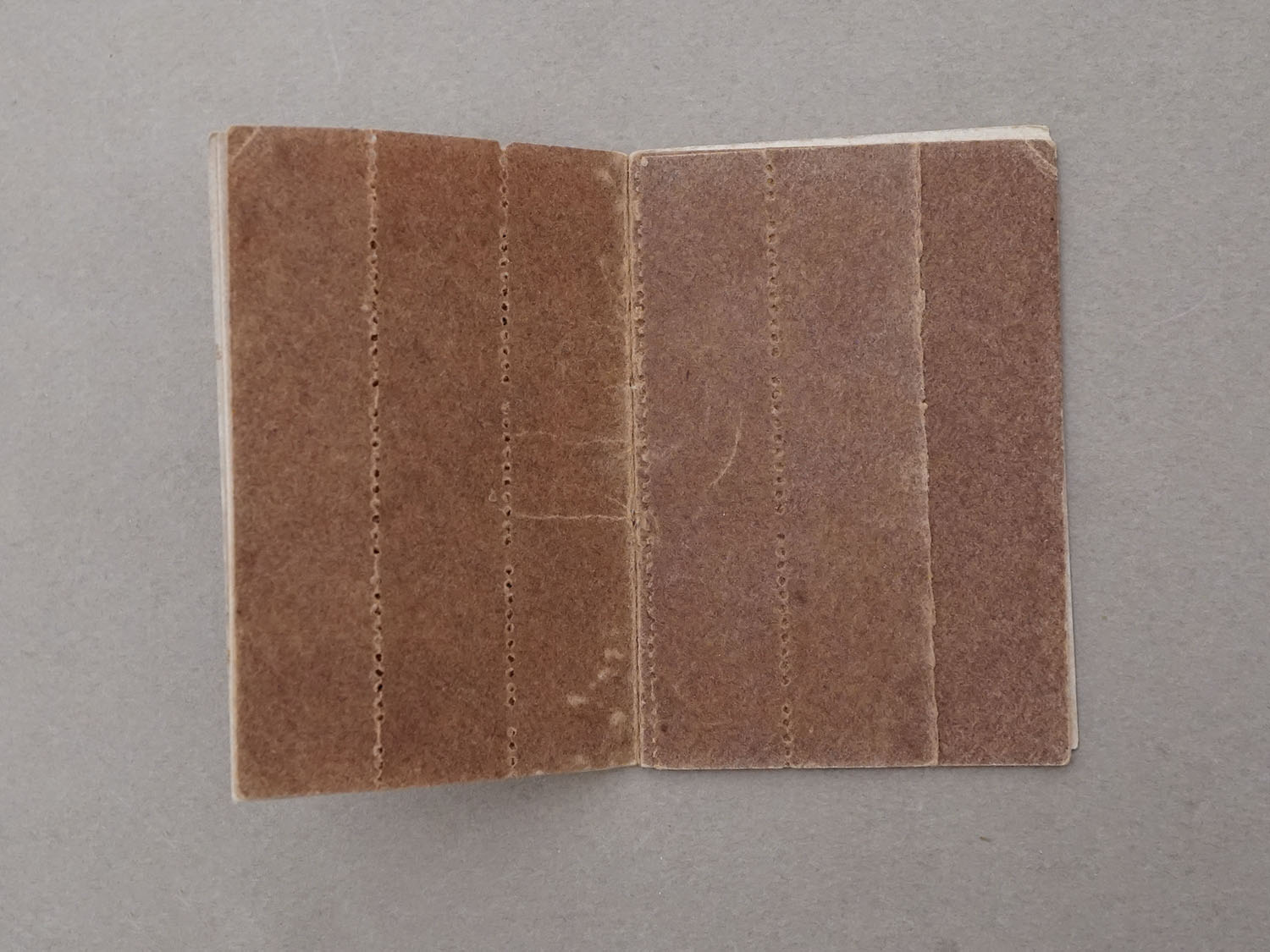 画像6: 1890年頃 アンティーク カルネ PAPIER D'ARABIE  VELOUTINE - CH.FAY PARIS  - (6)